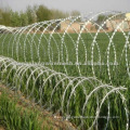 Stainless/iron concertina Barbed Razor Wire (Factory)
